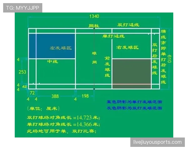 足球场尺寸规则详解：标准长度与宽度的判定标准解析