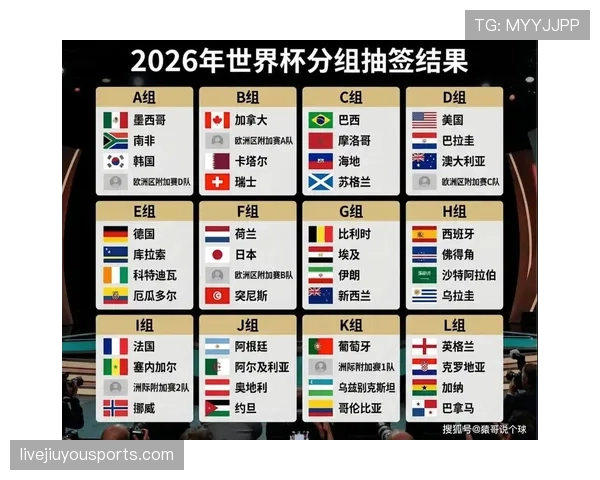 世界杯B组波黑晋级前景全面分析